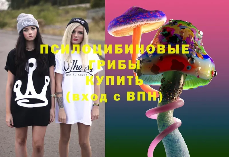 Галлюциногенные грибы Cubensis  Каменск-Шахтинский 